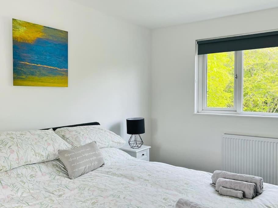 Cosy Country House In Deeside Finzean 部屋 写真