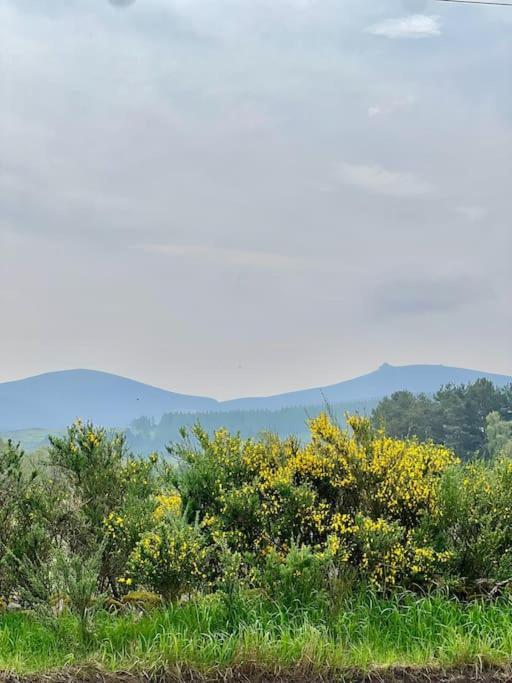 Cosy Country House In Deeside Finzean エクステリア 写真